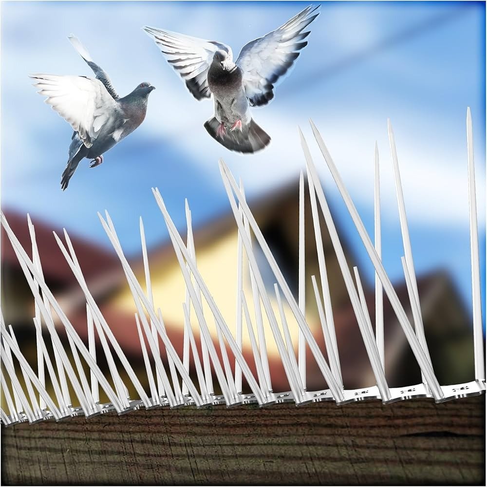 Polycarbonate Anti-Bird & Pigeon Spikes
