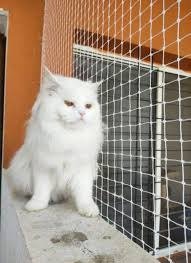 Children & Pet Cat Safety Nets